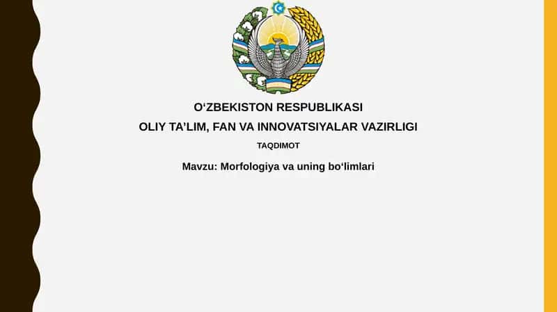 Morfologiyavauningboʻlimlari 1