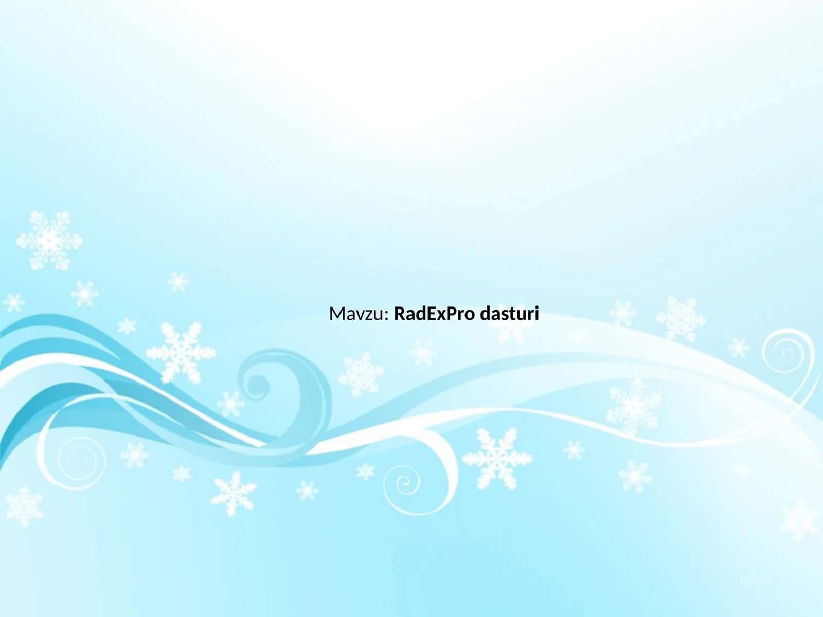 RadExPro dasturi 1