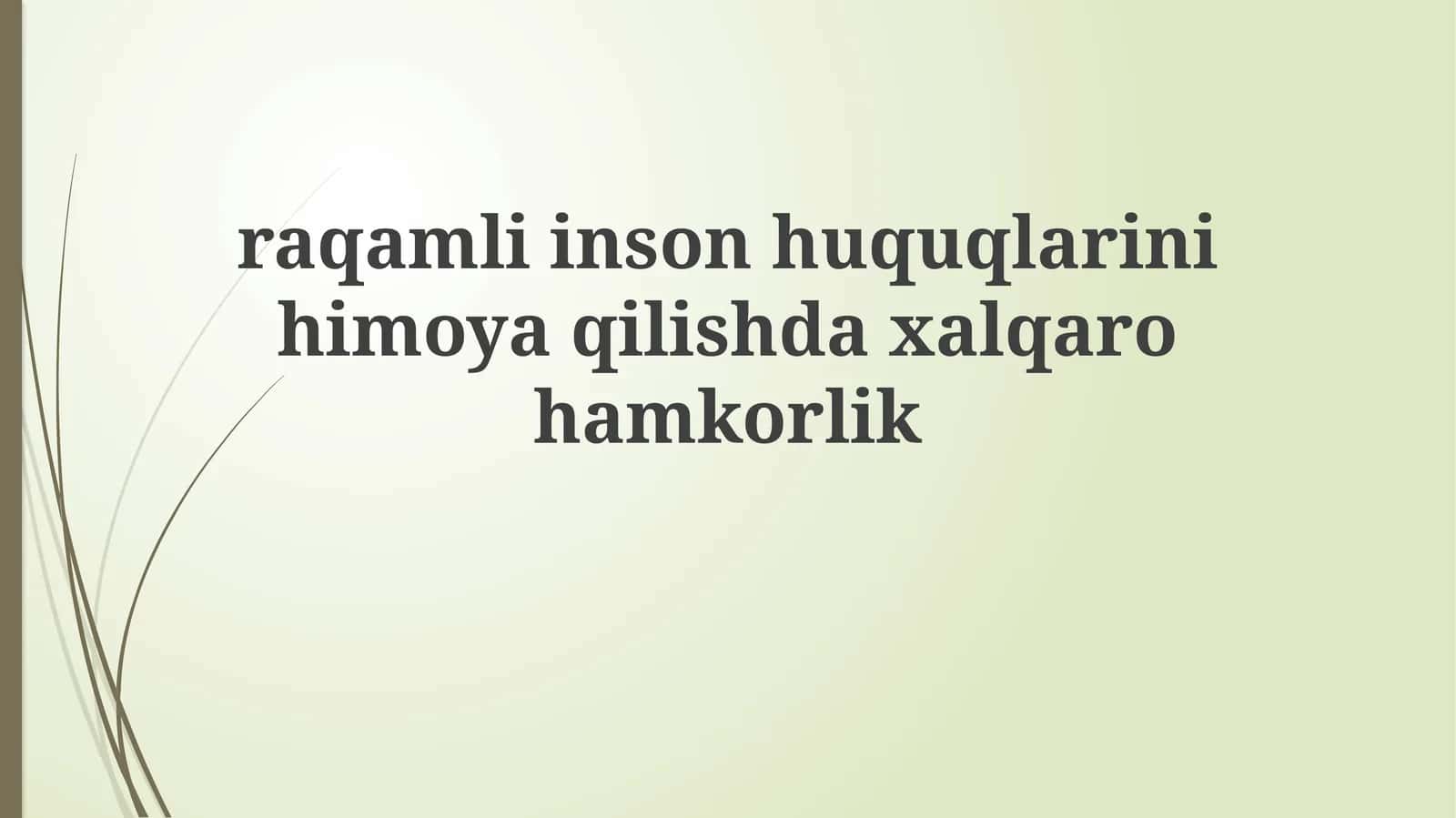 Raqamli inson huquqlarini himoya qilish daxalqarohamkorlik 1