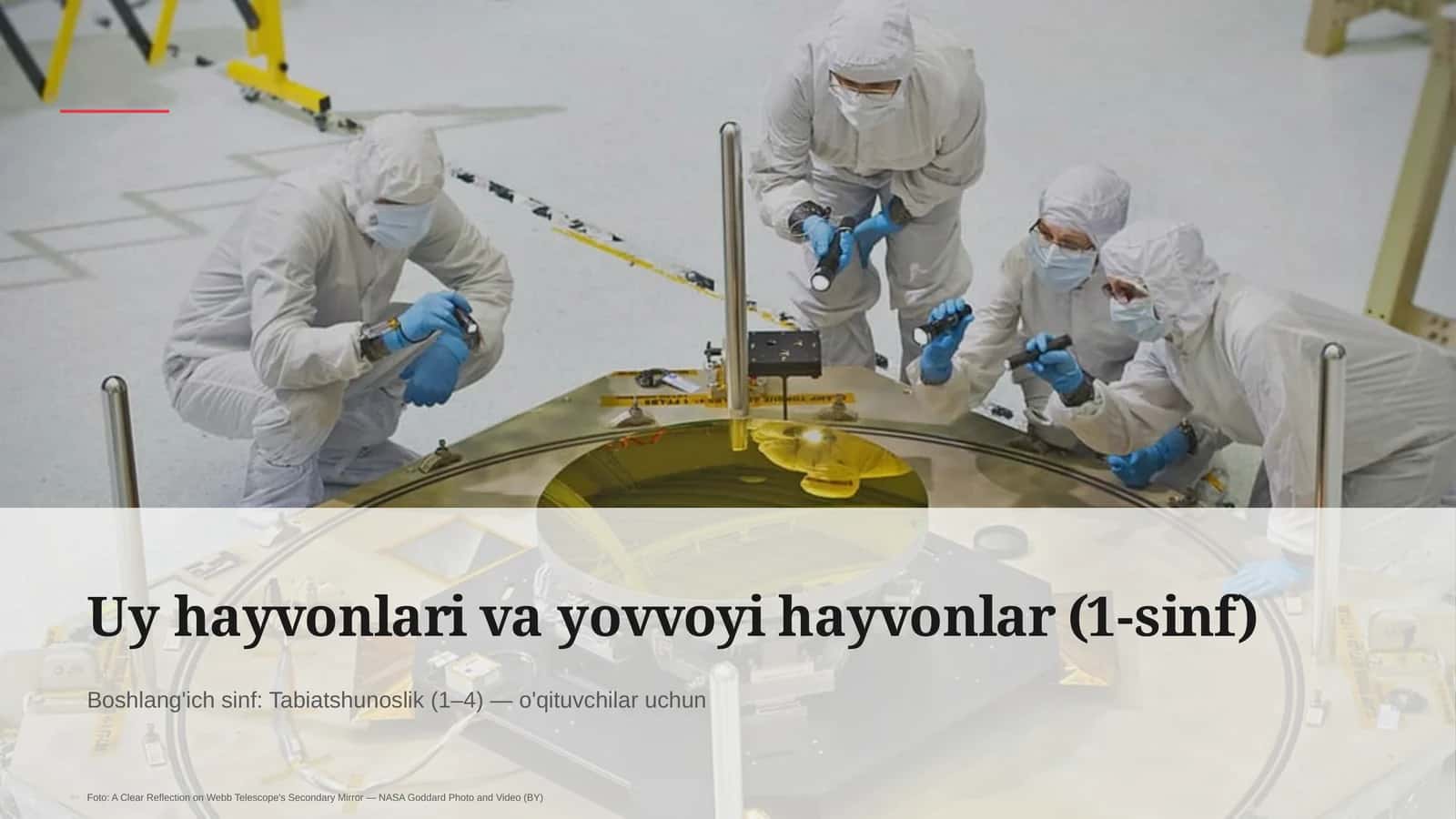 Uy hayvonlari va yovvoyi hayvonlar (1-sinf) 1