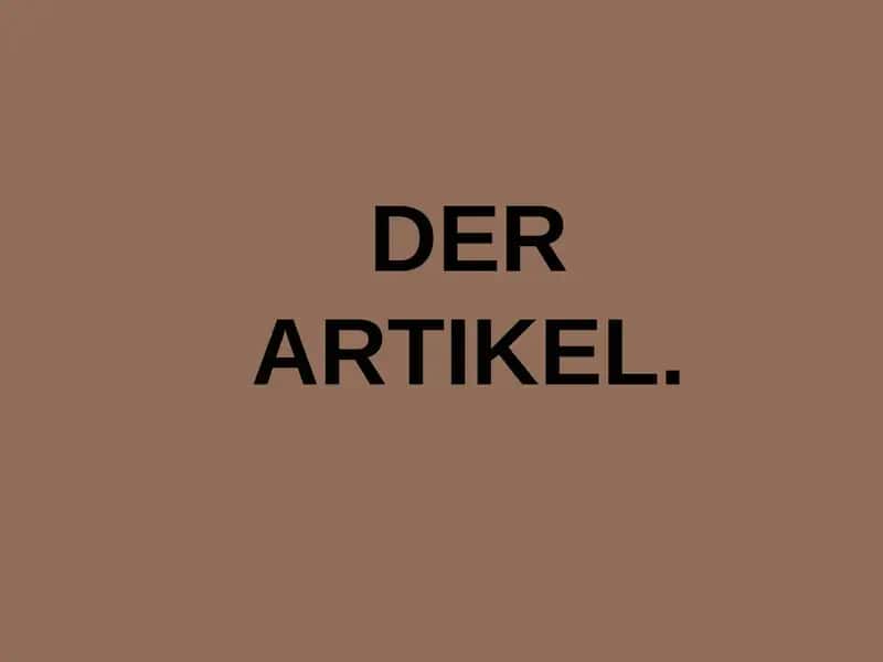 DER ARTIKEL 1