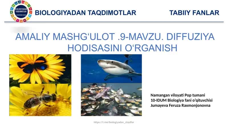 Gastroenterologiya sikli uchun ishlatiladigan dorilar toplami va dozalari 1