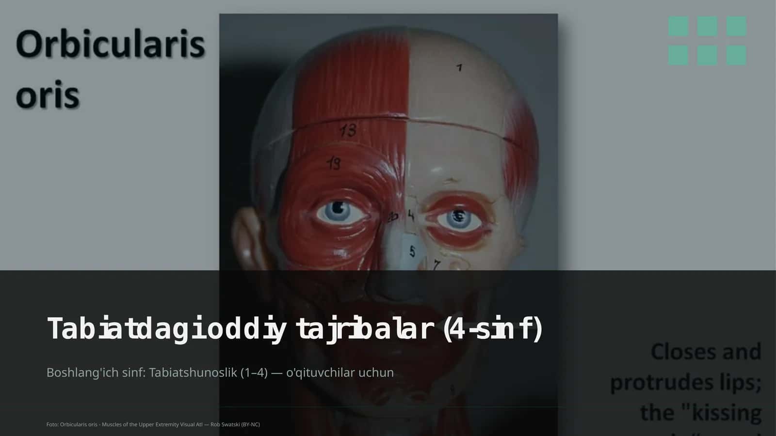 Tabiatdagi oddiy tajribalar (4-sinf) 1