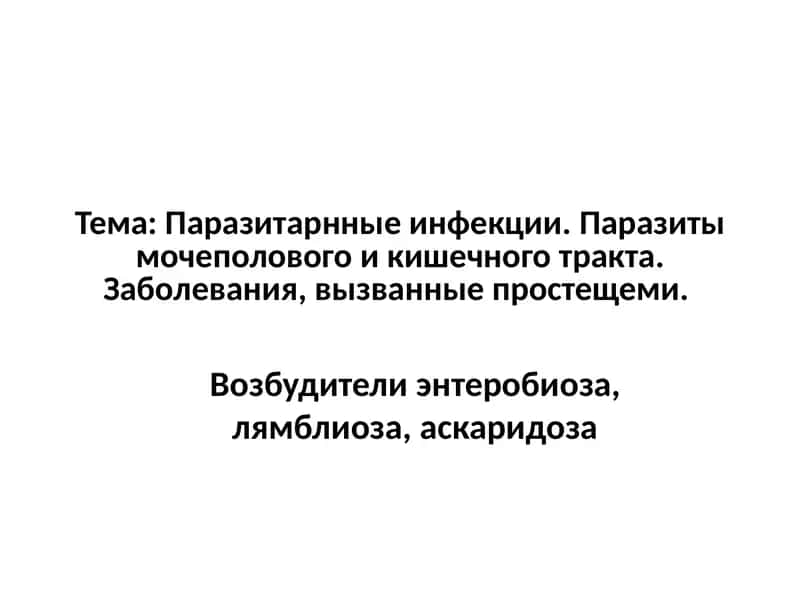 Острица кишечная (Enterobius vermicularis) 1