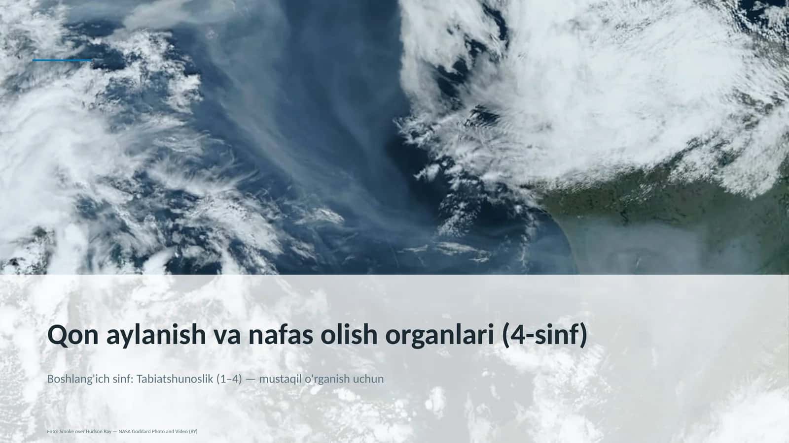 Qon aylanish va nafas olish organlari (4-sinf) 1