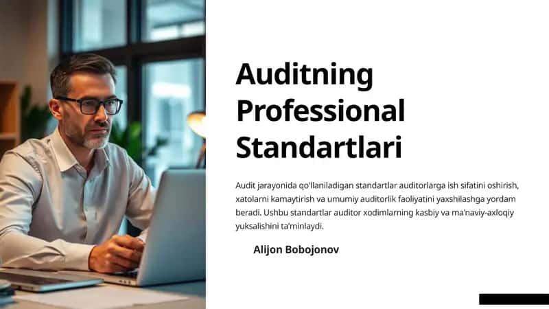 Auditning Professional Standartlari 1