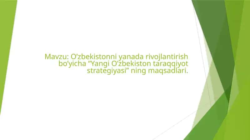 strategiya 1