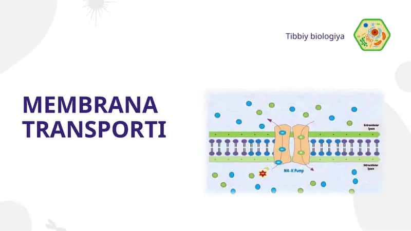 MEMBRANA  TRANSPORTI 1