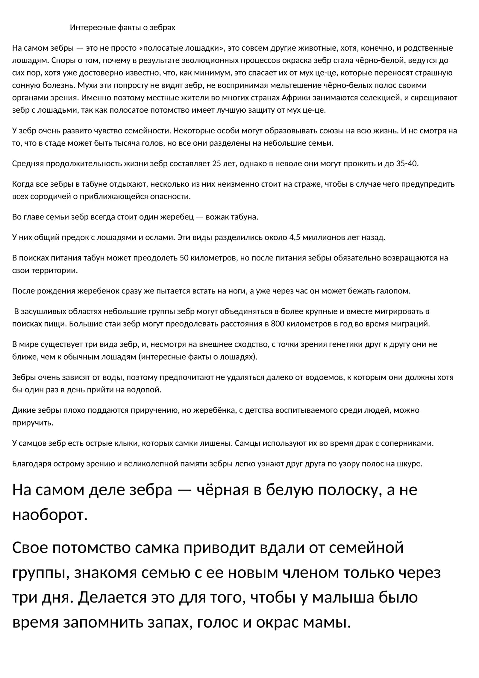 Интересные факты о зебрах 1