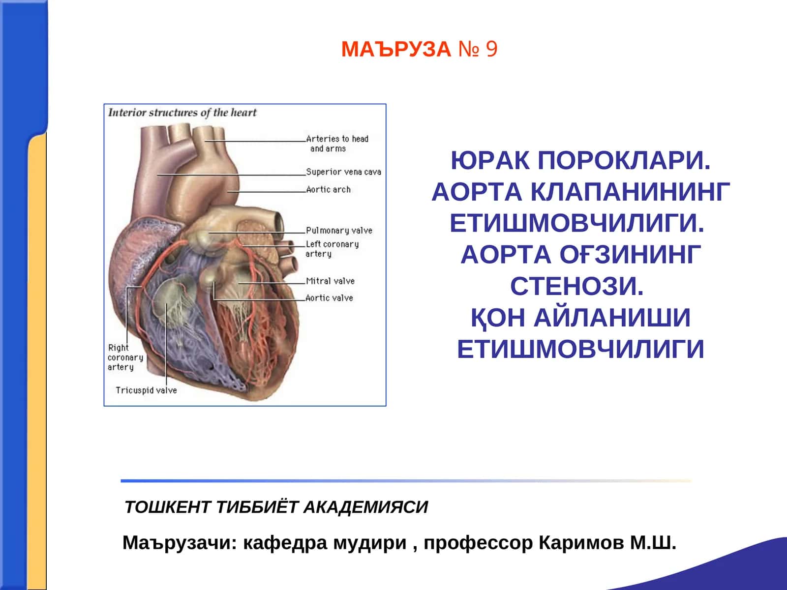 ЮРАК ПОРОКЛАРИ. АОРТА КЛАПАНИНИНГ ЕТИШМОВЧИЛИГИ.АОРТА ОҒЗИНИНГ СТЕНОЗИ.ҚОН АЙЛАНИШИ ЕТИШМОВЧИЛИГИ 1