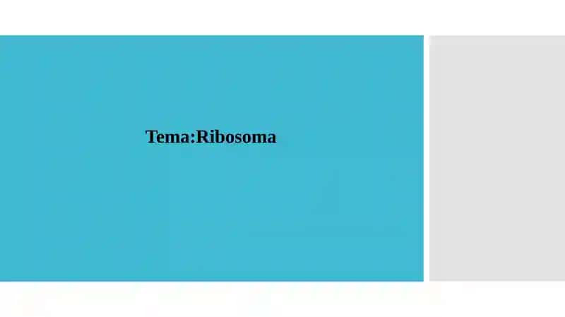 Ribasoma 1