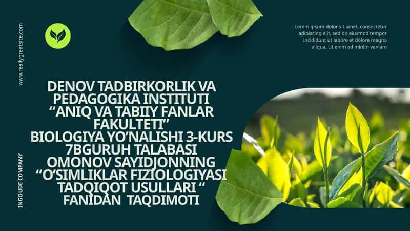 O'simliklarni qurg‘oqchilikka chidamliligi 1