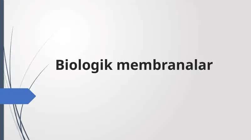Biologikmembranalar 1
