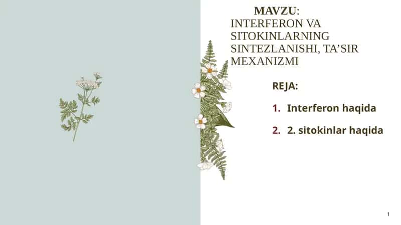 INTERFERON VA SITOKINLARNING SINTEZLANISHI 1