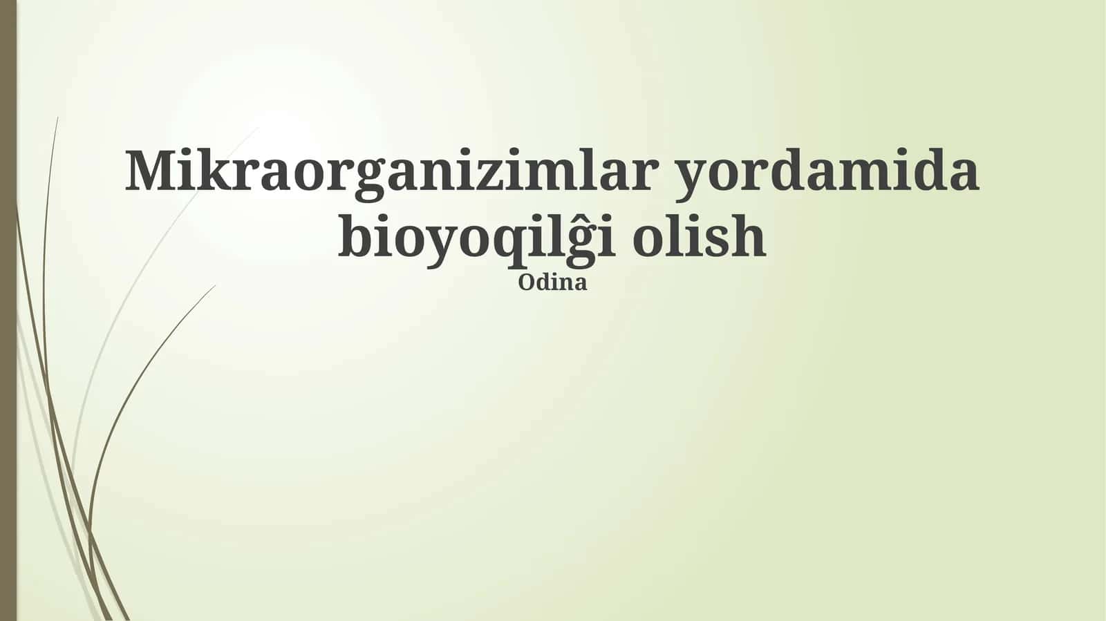Mikroorganizm yordamida bioyoqilĝi olish 1