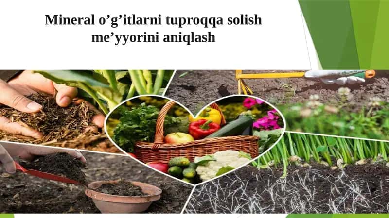 Mineral o’g’itlarni tuproqqa solish me’yyorini aniqlash 1