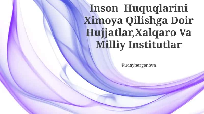 Inson Huquqlarini Ximoya Qilishga Doir Hujjatlar, Xalqaro Va Milliy Institutlar 1