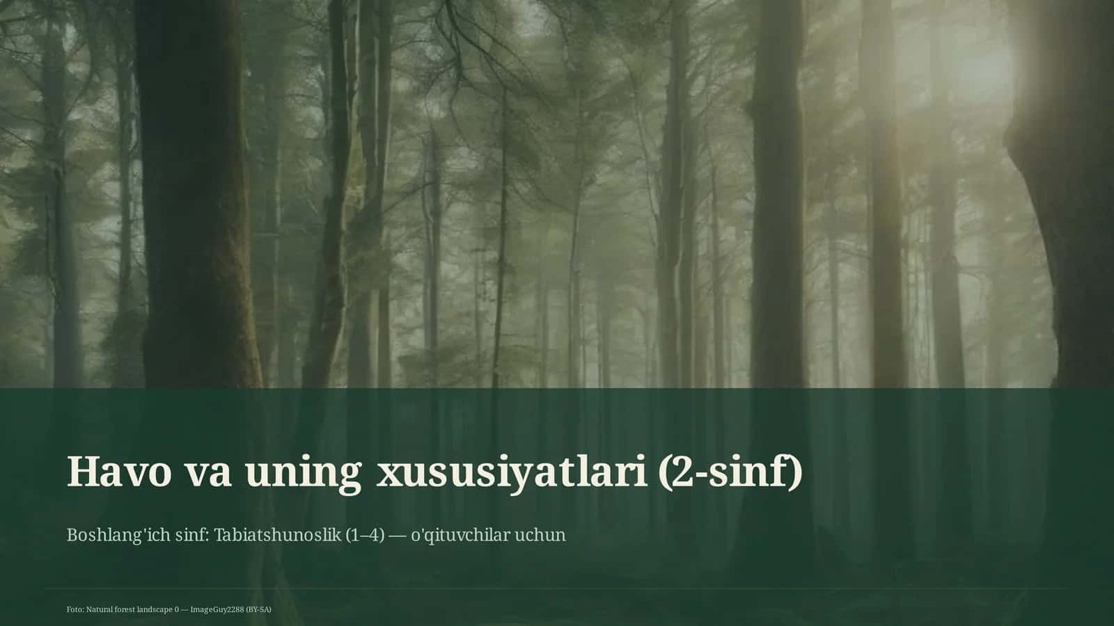 Havo va uning xususiyatlari (2-sinf) 1