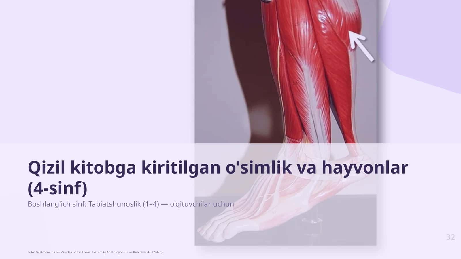 Qizil kitobga kiritilgan o'simlik va hayvonlar (4-sinf) 1