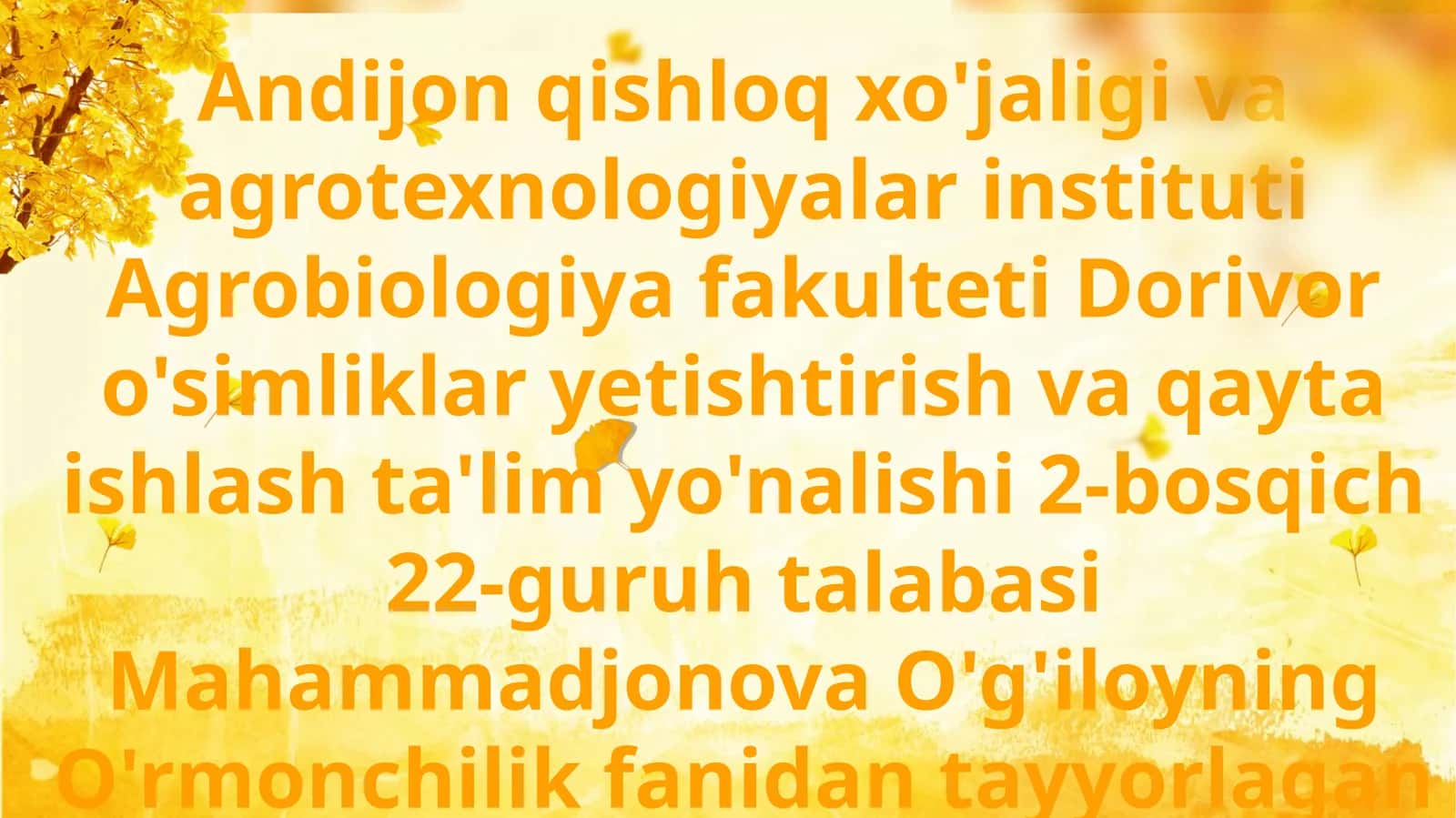 O'rmonning gidrologik ahamiyati 1