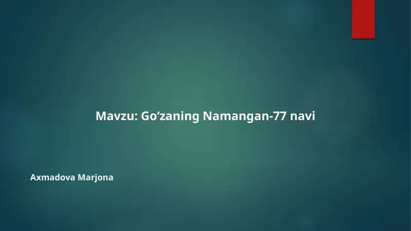 Go‘zaning Namangan-77 navi 1