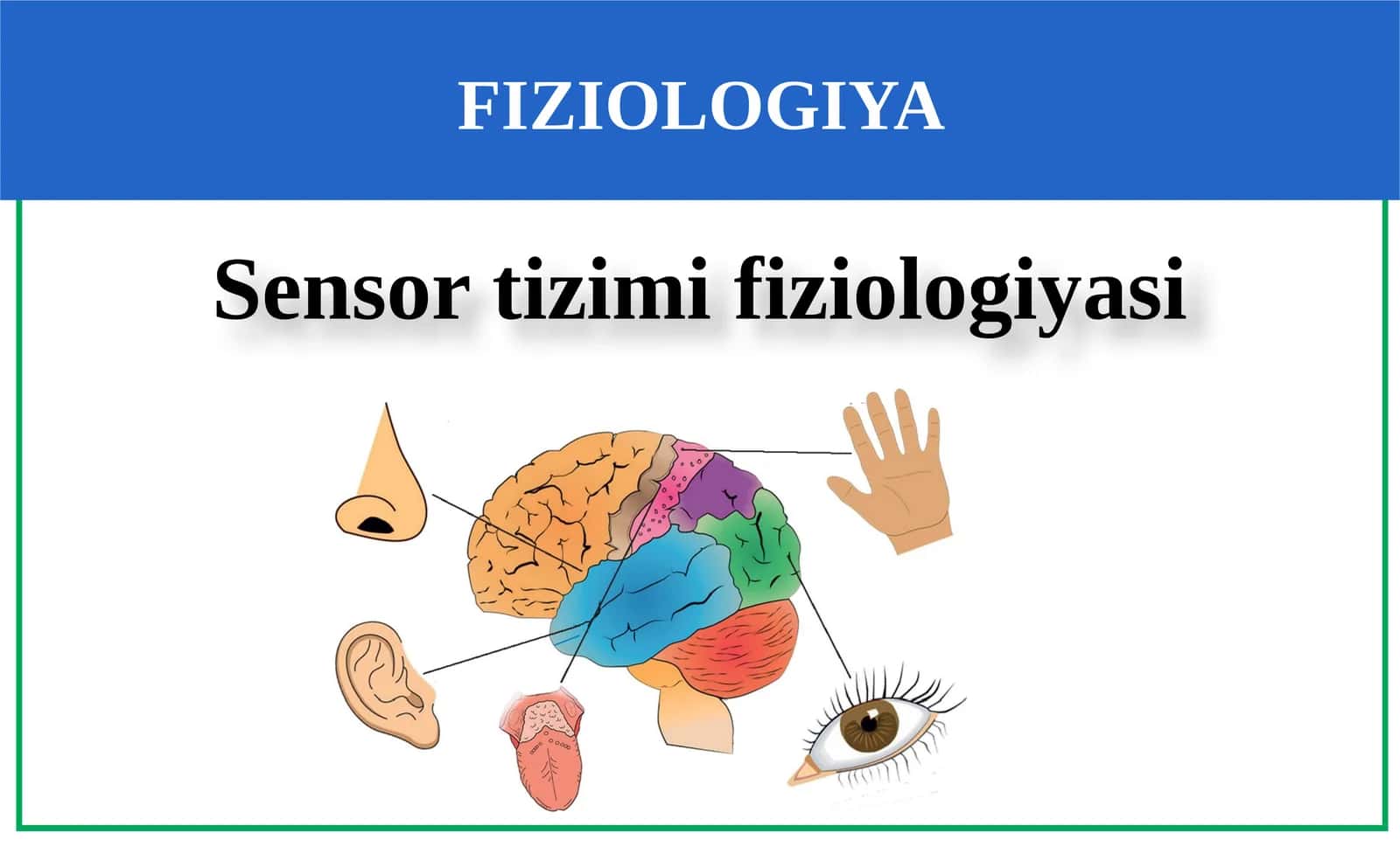 Sensor tizimi fiziologiyasi 1
