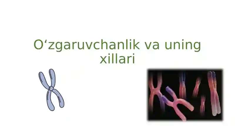 O‘zgaruvchanlik va uning xillari 1