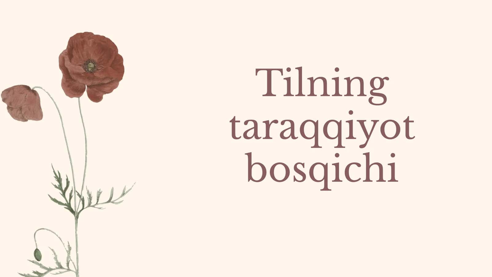 Tilning taraqqiyot bosqichi 1