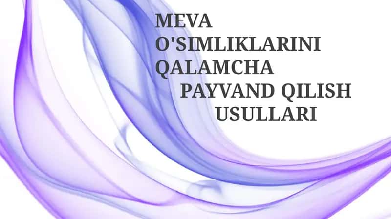 MEVA O'SIMLIKLARINI QALAMCHA PAYVAND QILISH USULLARI 1