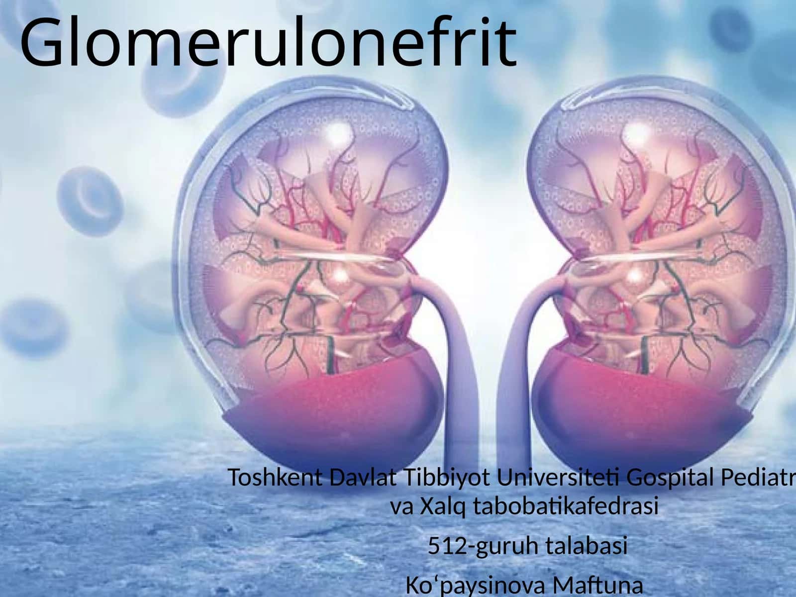 Glomerulonefrit 1