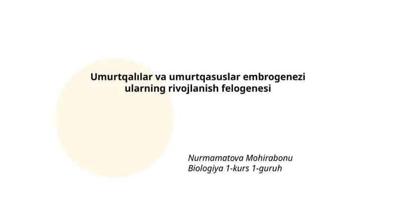 Umurtqalılar va umurtqasuslar embrogenezi ularning rivojlanish felogenesi 1