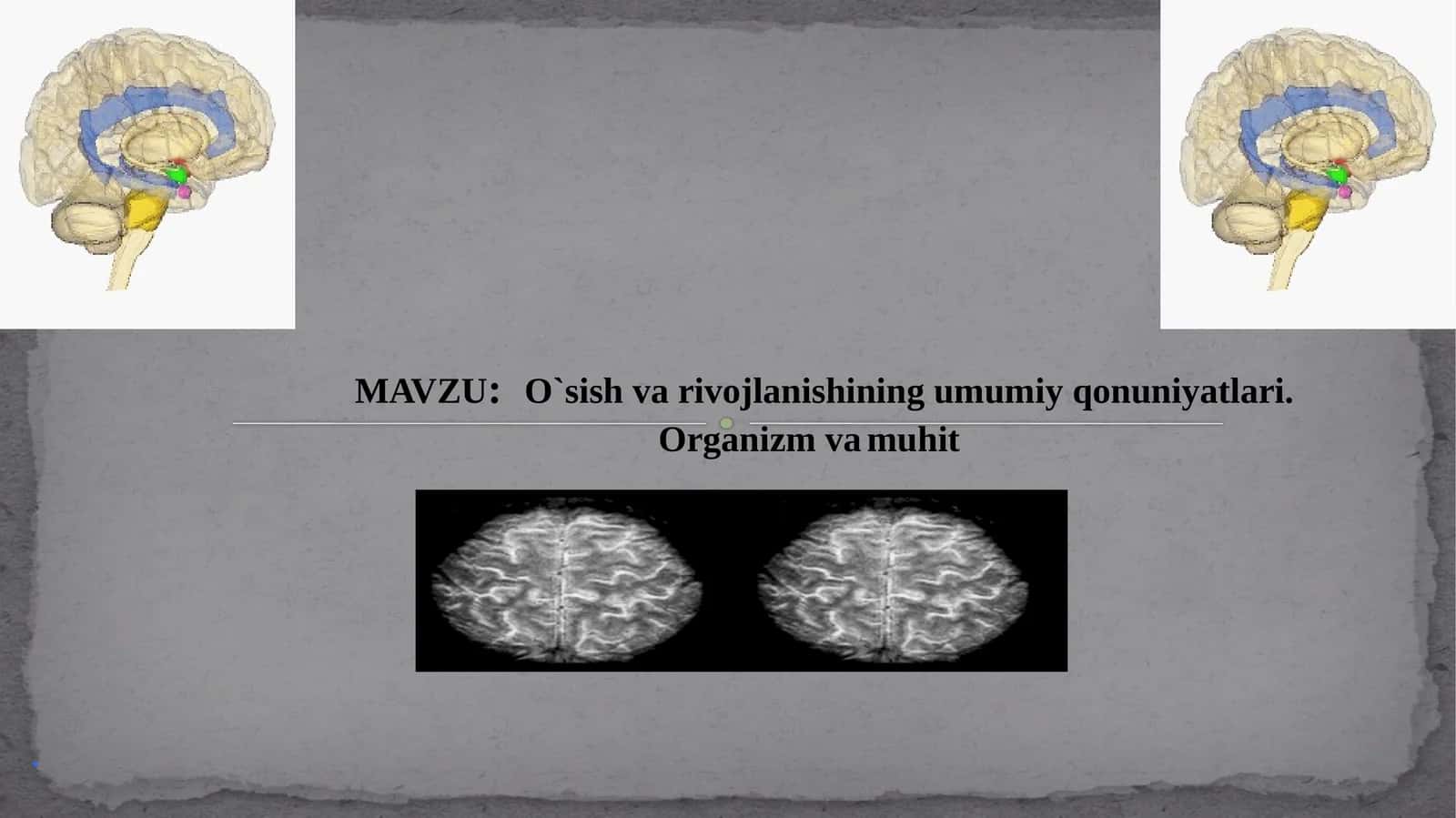O`sish va rivojlanishning umumiy qonuniyatları 1