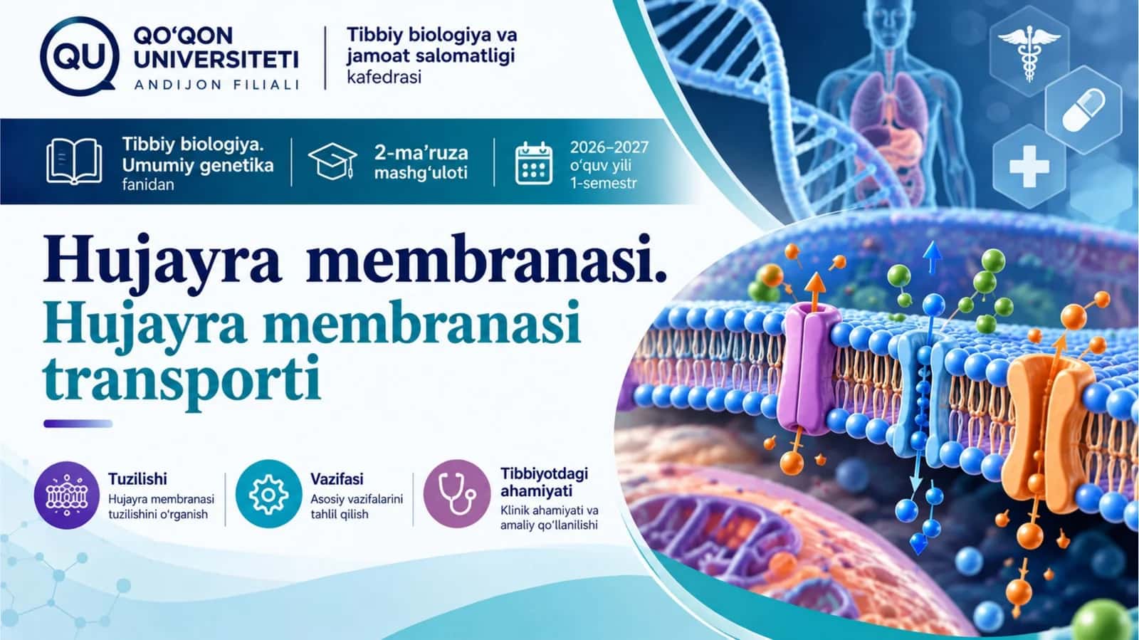 HUJAYRA MEMBRANASI 1