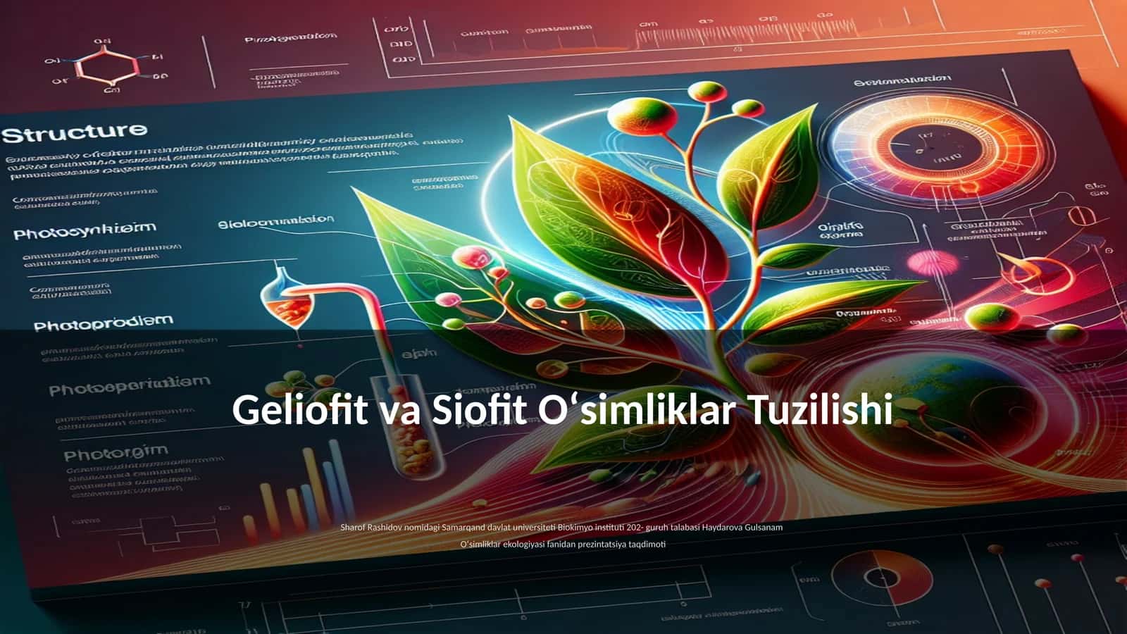 Geliofit va Siofit Oʻsimliklar Tuzilishi 1