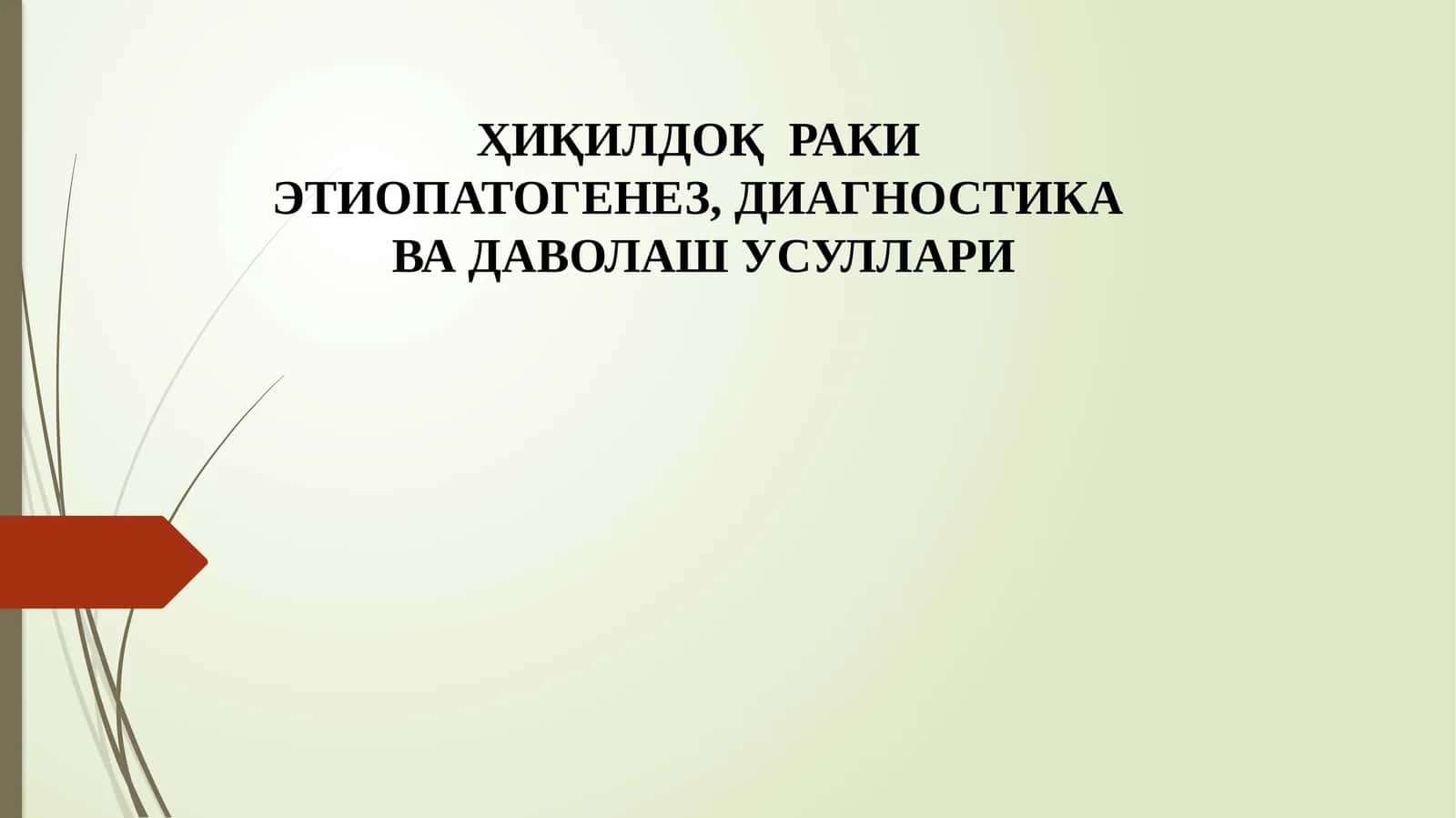 XIQILDOQ RAKI 1