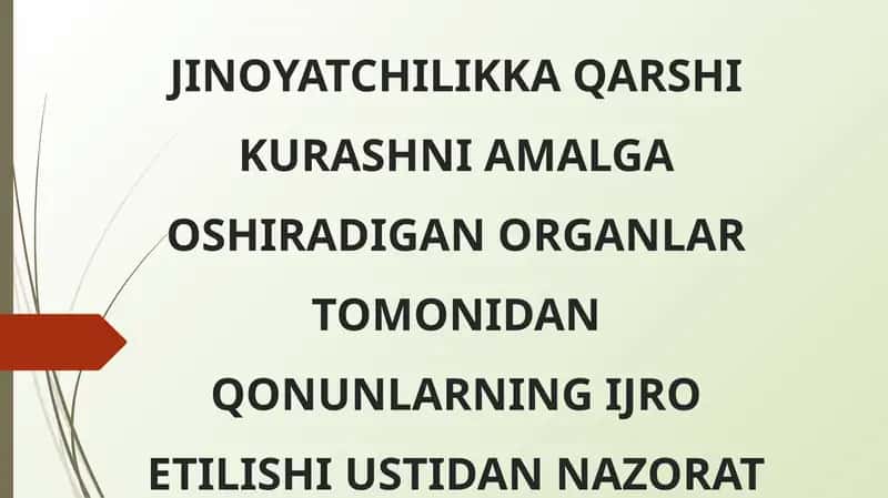 JINOYATCHILIKKA QARSHI KURASHNI AMALGA OSHIRADIGAN ORGANLAR TOMONIDAN QONUNLARNING IJRO ETILISHI USTIDAN NAZORAT 1