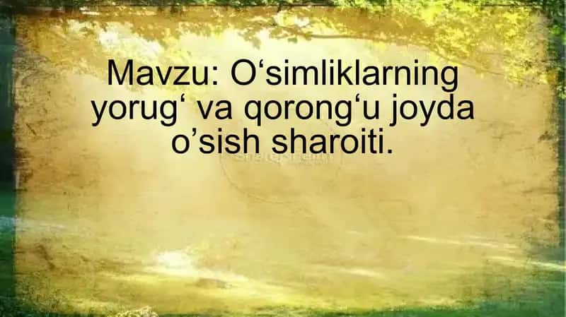 Oʻsimliklarning yorugʻ va qorongʻu joyda o’sish sharoiti. 1