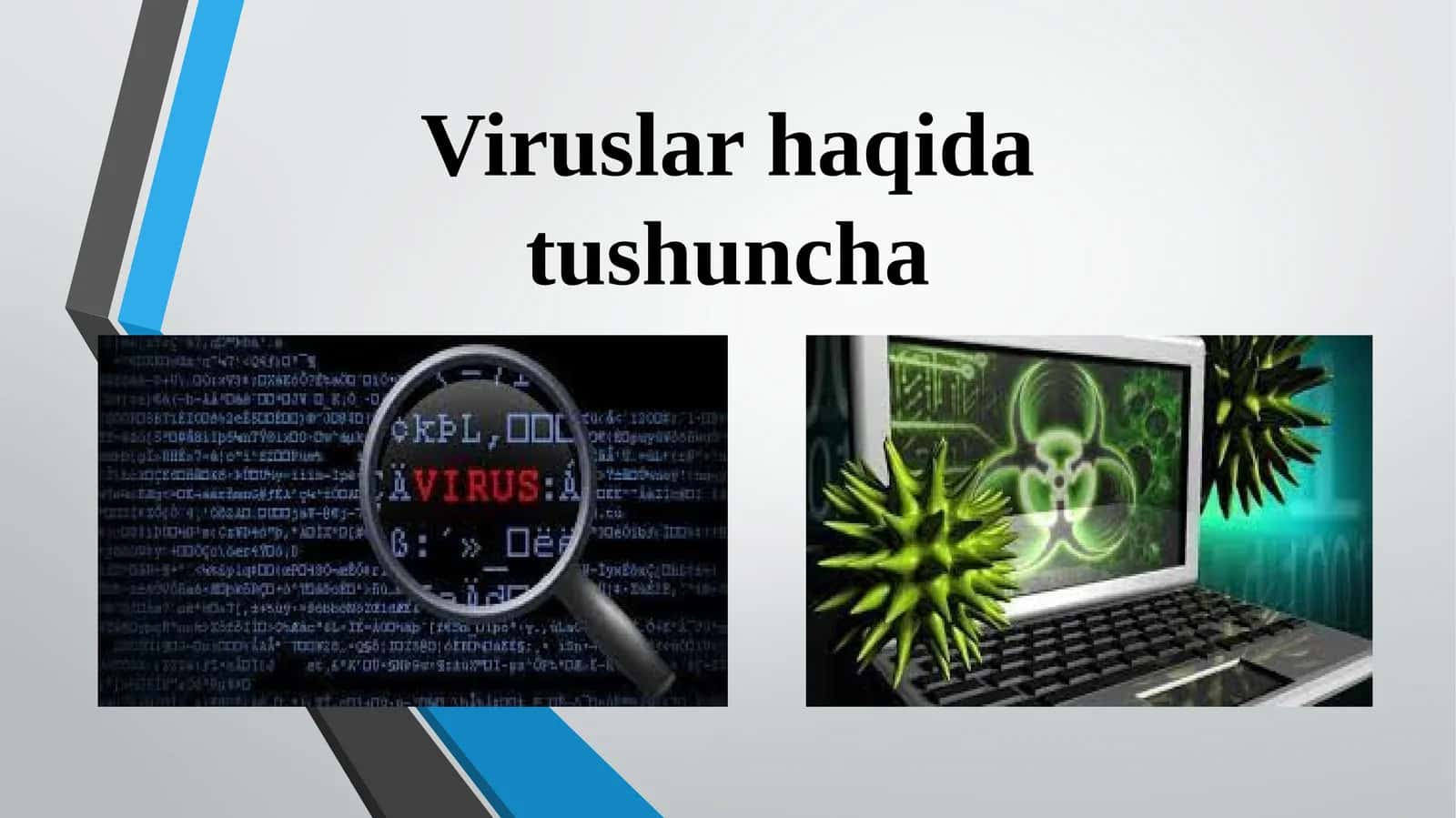 Viruslar haqida tushuncha 1