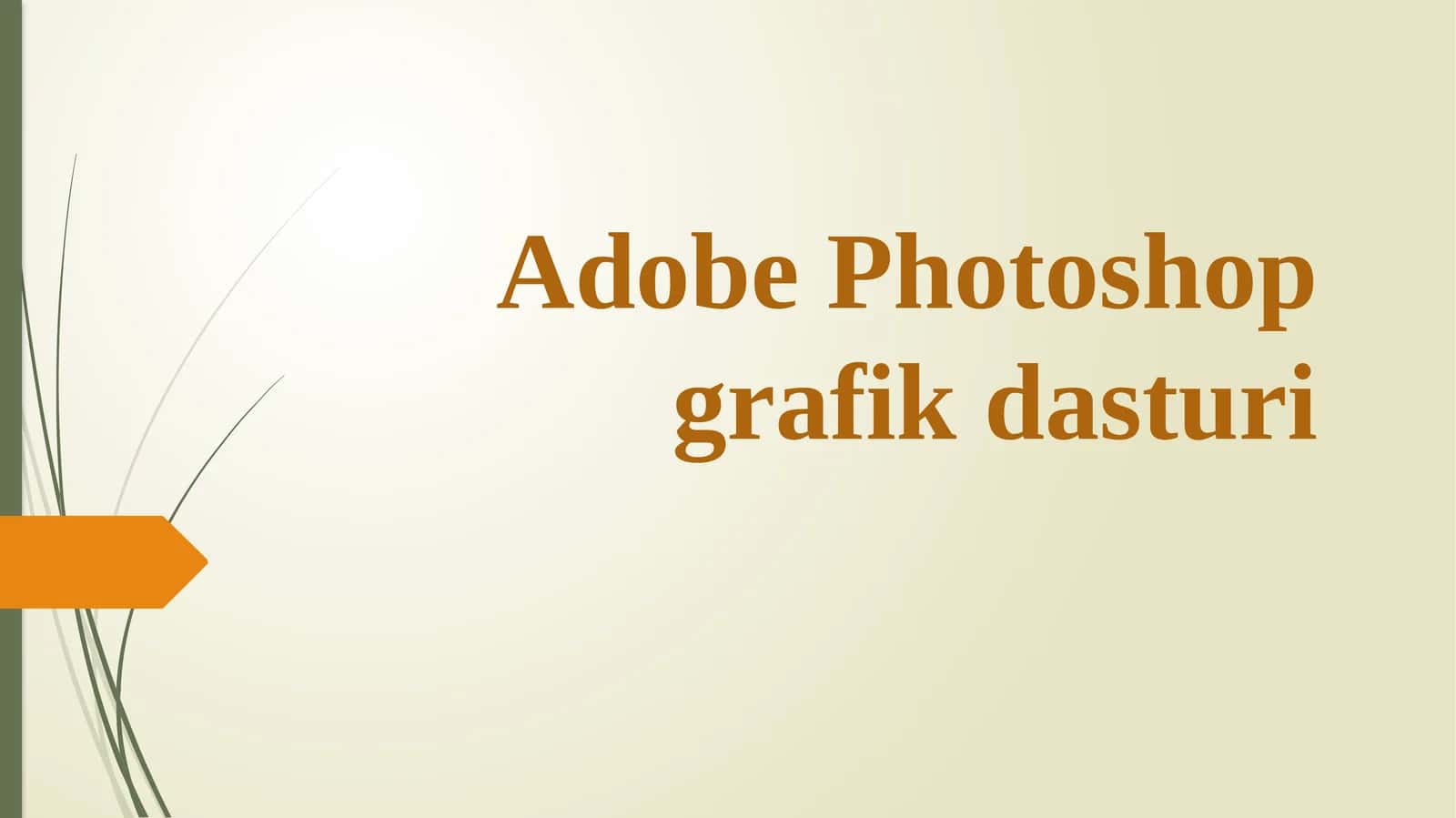 Adobe Photoshopgrafikdasturi 1