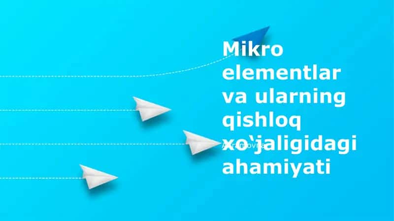 Mikro elementlar va ularning qishloq xo‘jaligidagi ahamiyati 1