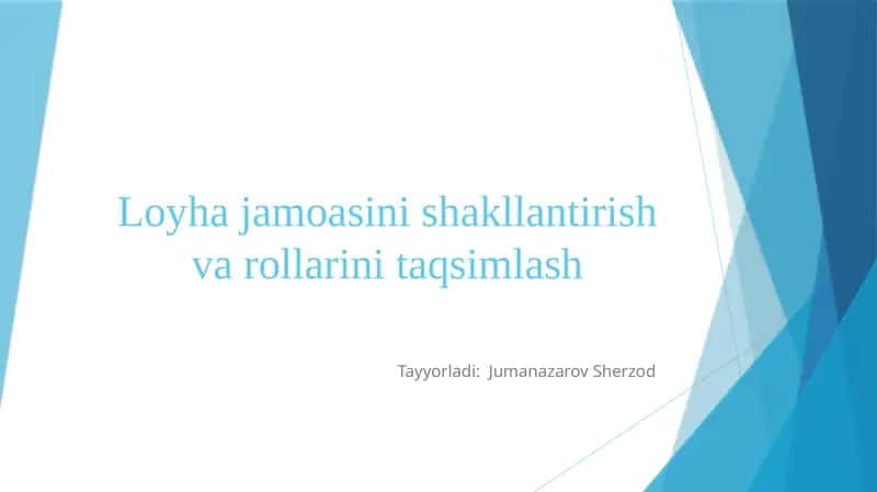 Loyhajamoasinishakllantirishvarollarinitaqsimlash 1