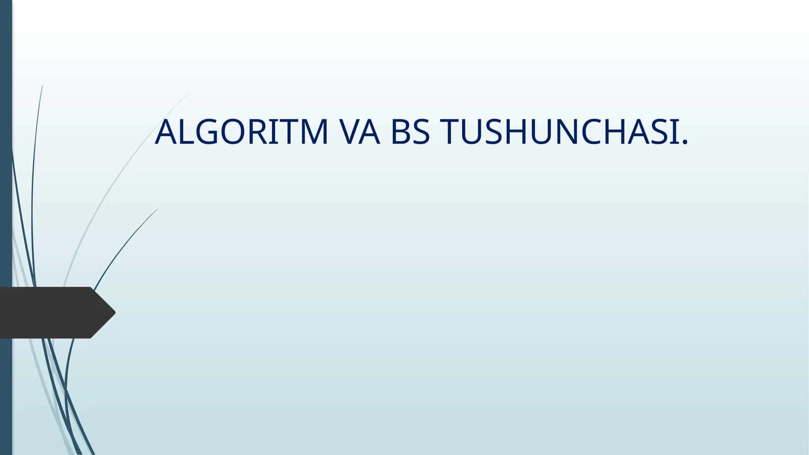 ALGORITM VA BS TUSHUNCHASI 1