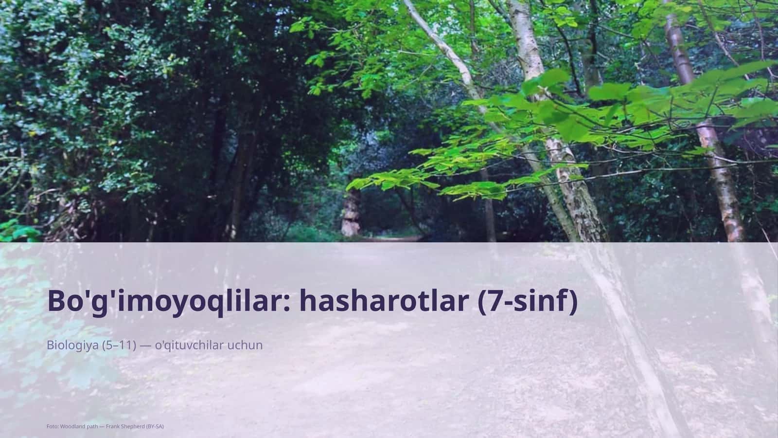 Bo'g'imoyoqlilar: hasharotlar (7-sinf) 1