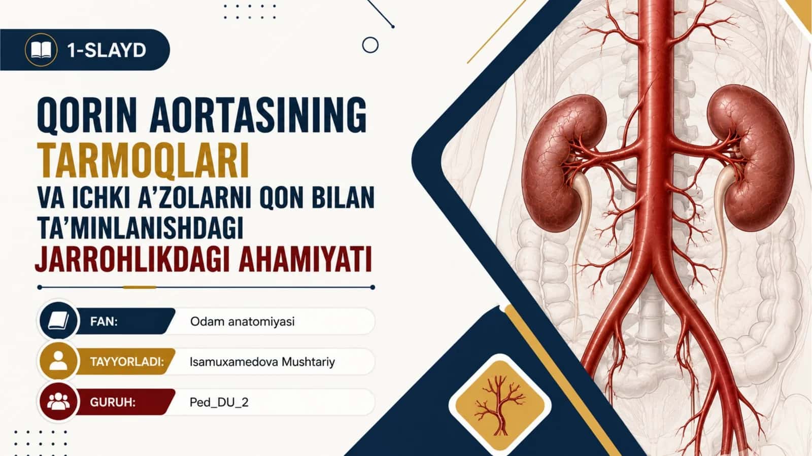 Qorin aortasini tarmoqlari, ichki aʼzolarni qon bilan taʼminlanishdagi jarrohlikdagi ahamiyati 1