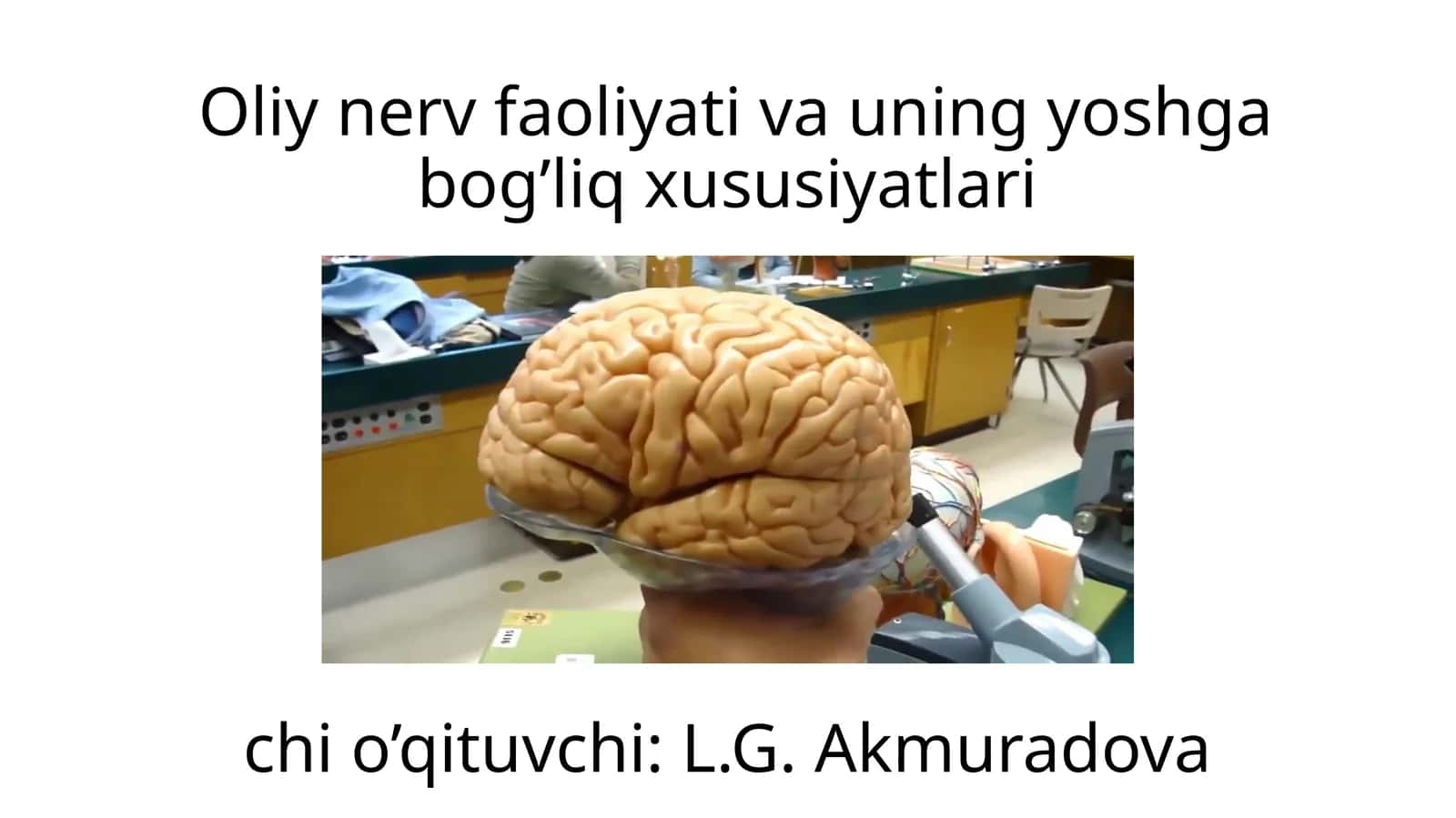 Oliy nerv faoliyati va uning yoshga bog’liq xususiyatlari 1