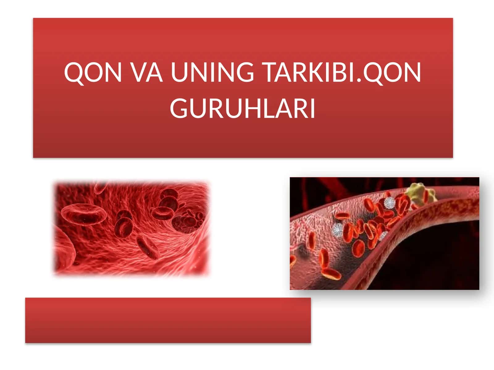 QON VA UNING TARKIBI.QON GURUHLARI 1