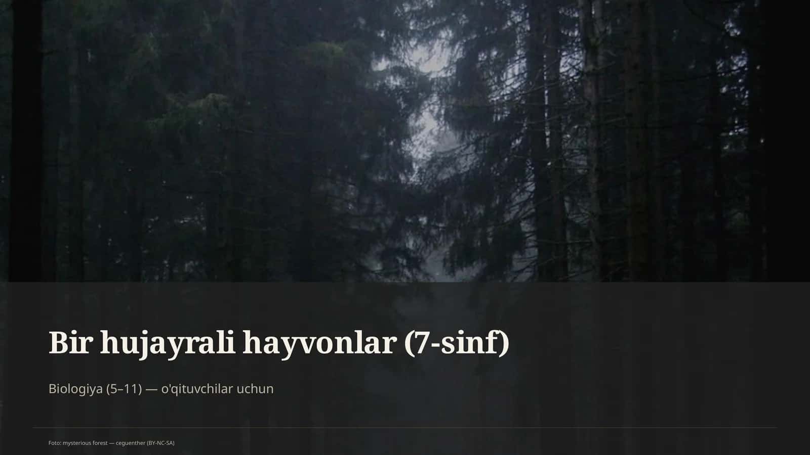 Bir hujayrali hayvonlar (7-sinf) 1