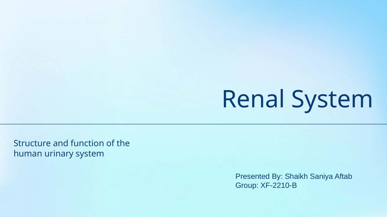 Renal System 1
