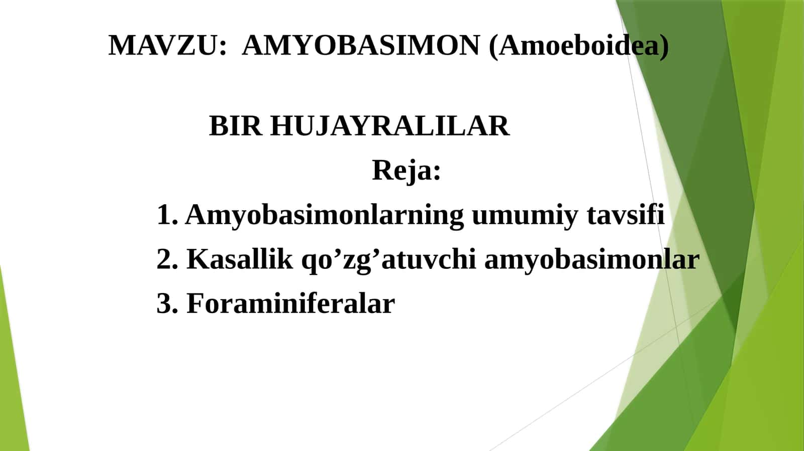 AMYOBASIMON(Amoeboidea) 1