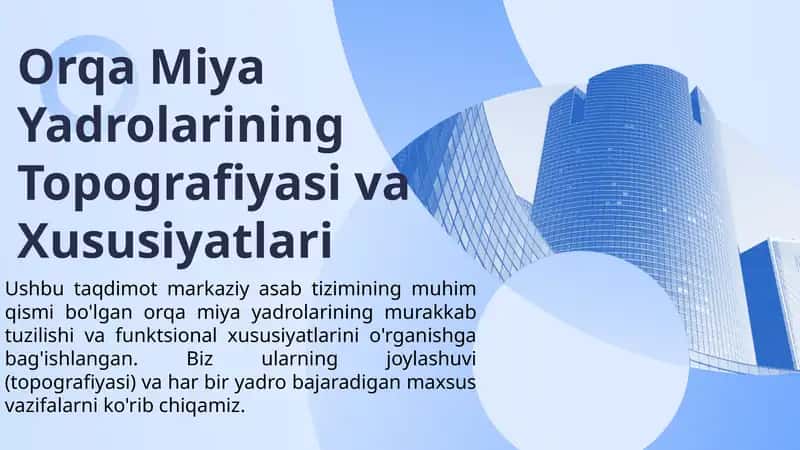 orqa miya yadrolarining topografiyasi va xususiyatlari 1